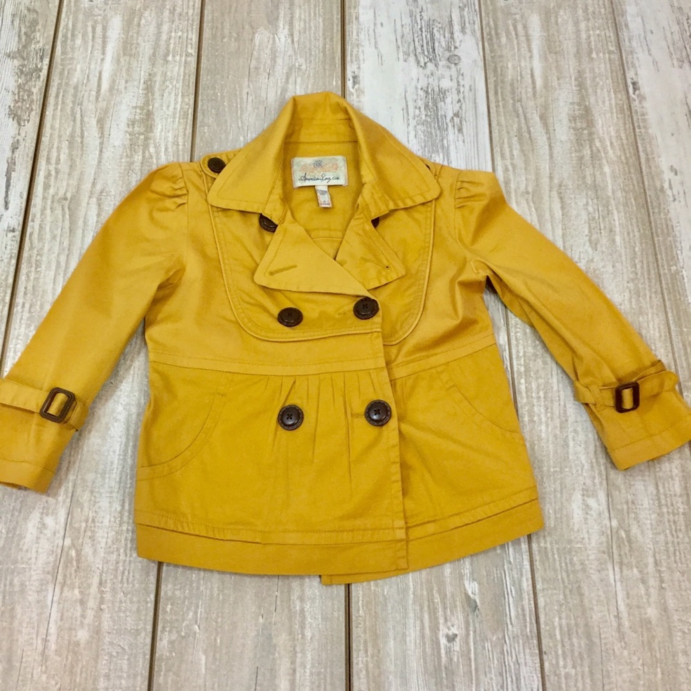 American Rag Cie  double breasted short jacket